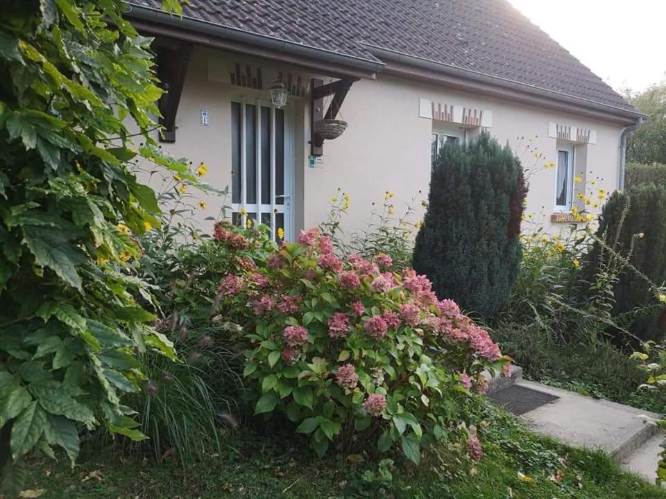Chambre Fleurs De Lys Proche Zooparc De Beauval Et Des Chateaux De La Loire Couffy エクステリア 写真