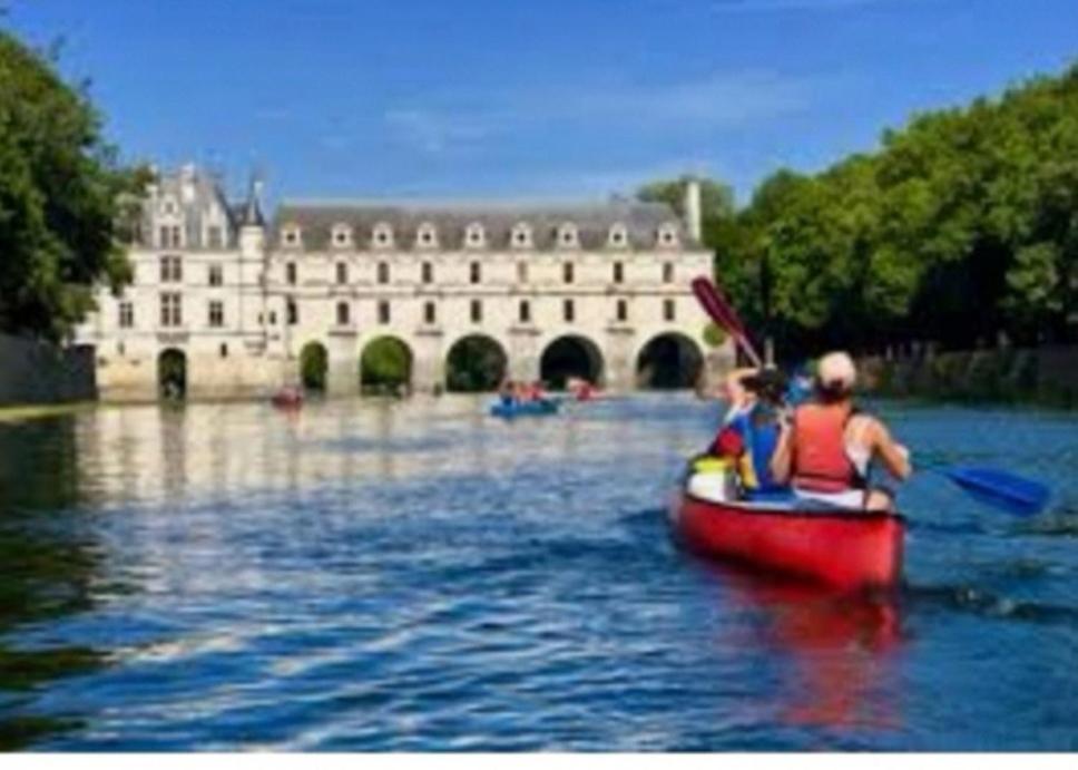 Chambre Fleurs De Lys Proche Zooparc De Beauval Et Des Chateaux De La Loire Couffy エクステリア 写真