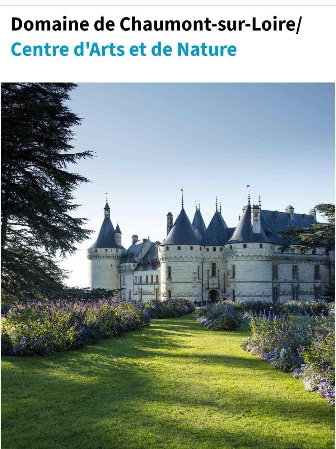 Chambre Fleurs De Lys Proche Zooparc De Beauval Et Des Chateaux De La Loire Couffy エクステリア 写真